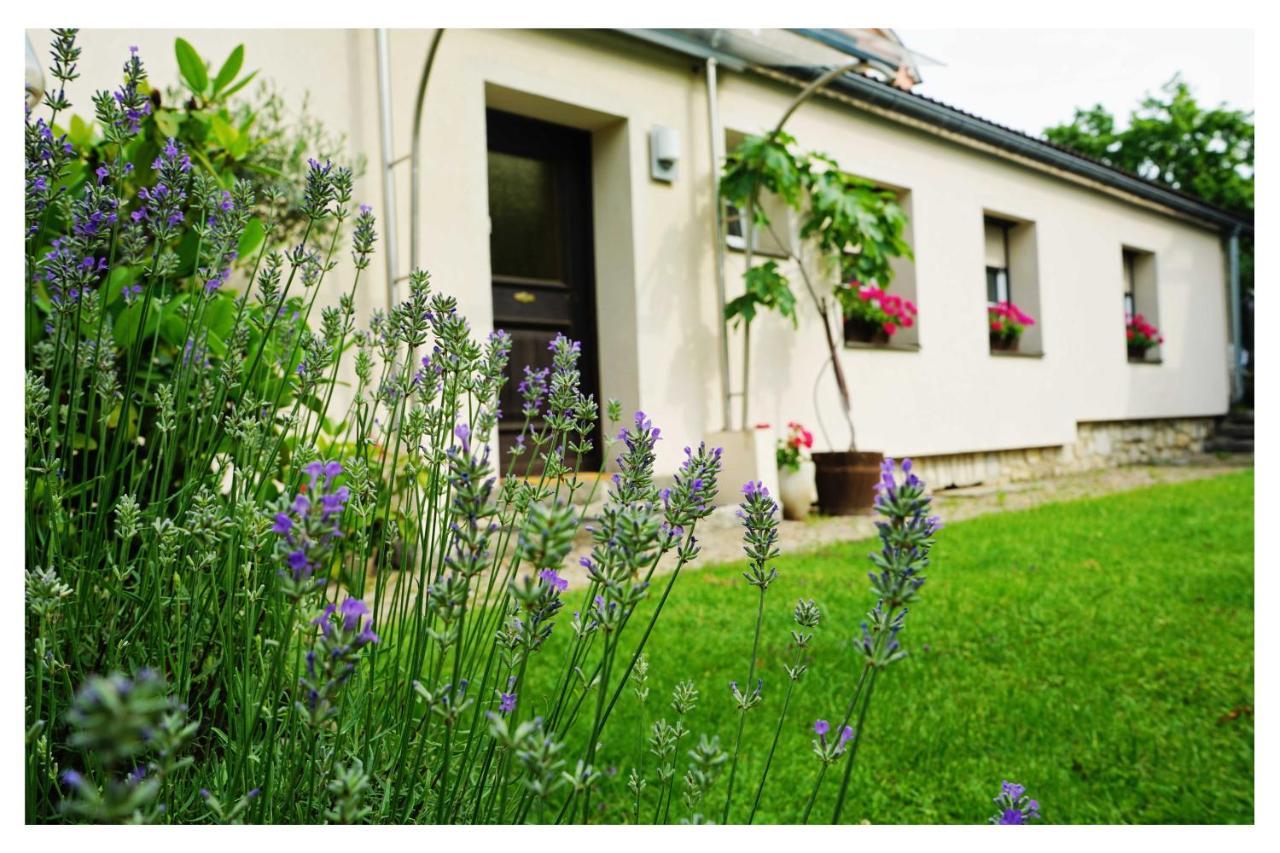 Ingrid'S Guesthouse Spittal Spittal an der Drau Zewnętrze zdjęcie