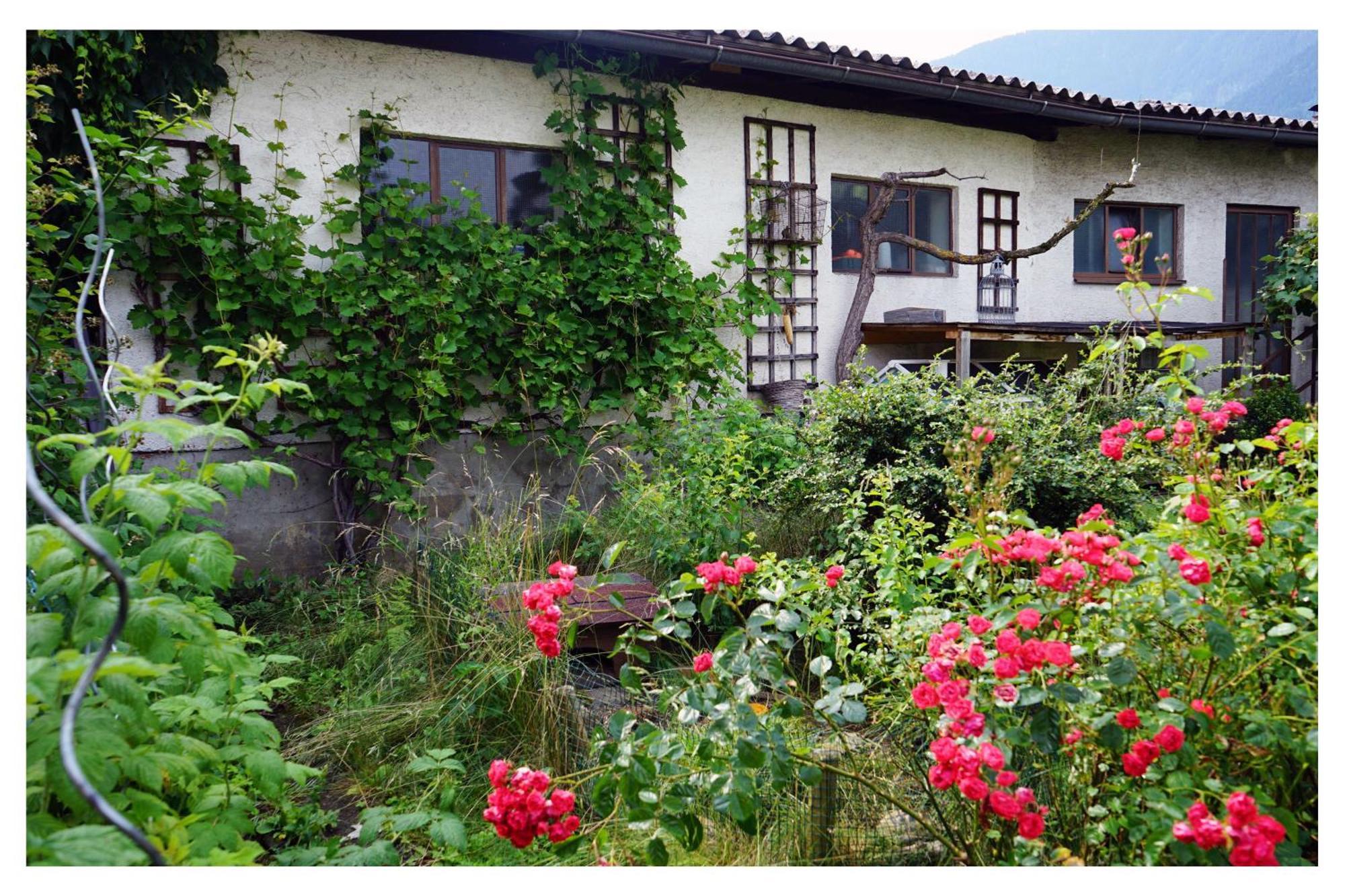 Ingrid'S Guesthouse Spittal Spittal an der Drau Zewnętrze zdjęcie